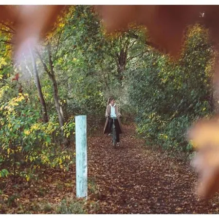 Vakantiehuis Poolside Escape With Sauna