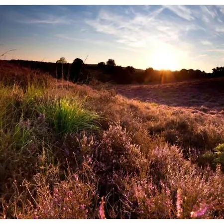 Poolside Escape With Sauna Vakantiehuis *