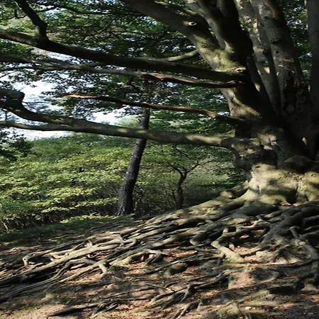 Poolside Escape With Sauna * Voorthuizen