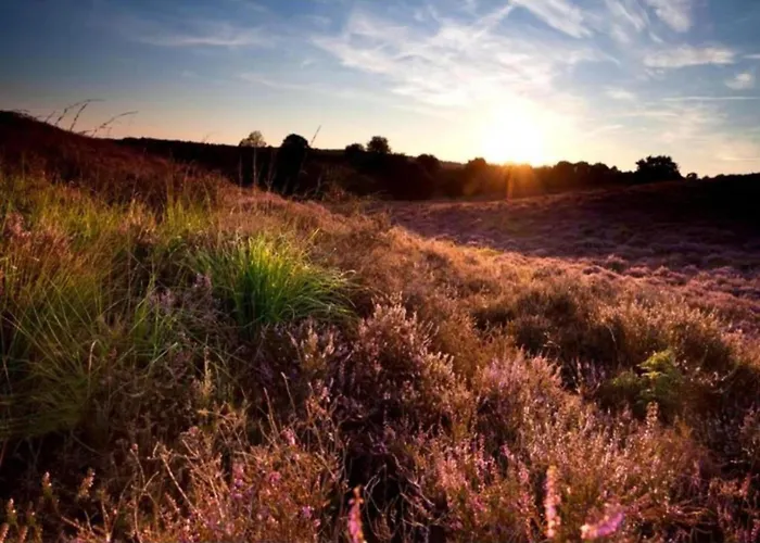 Poolside Escape With Sauna بيت للعطل *