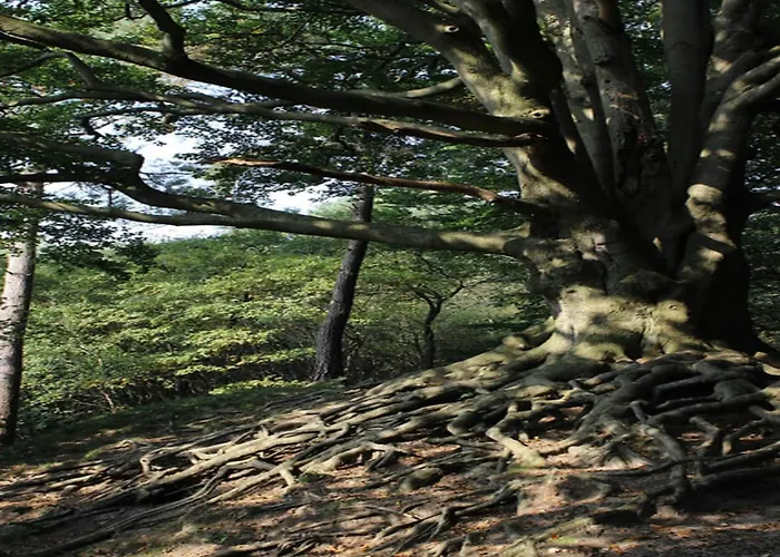 Poolside Escape With Sauna * فورتهاوزن