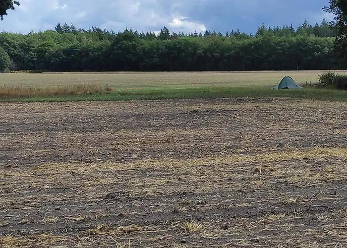 Poolside Escape With Sauna